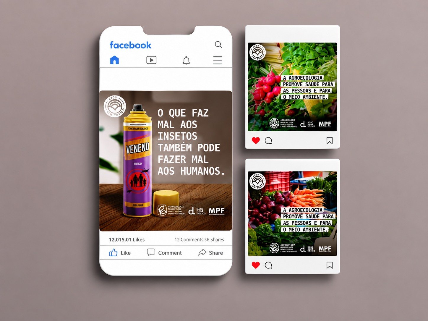 Peças da campanha em redes sociais: “O que faz mal aos insetos também pode fazer mal aos humanos” e “A agroecologia promove saúde para as pessoas e para o meio ambiente”.